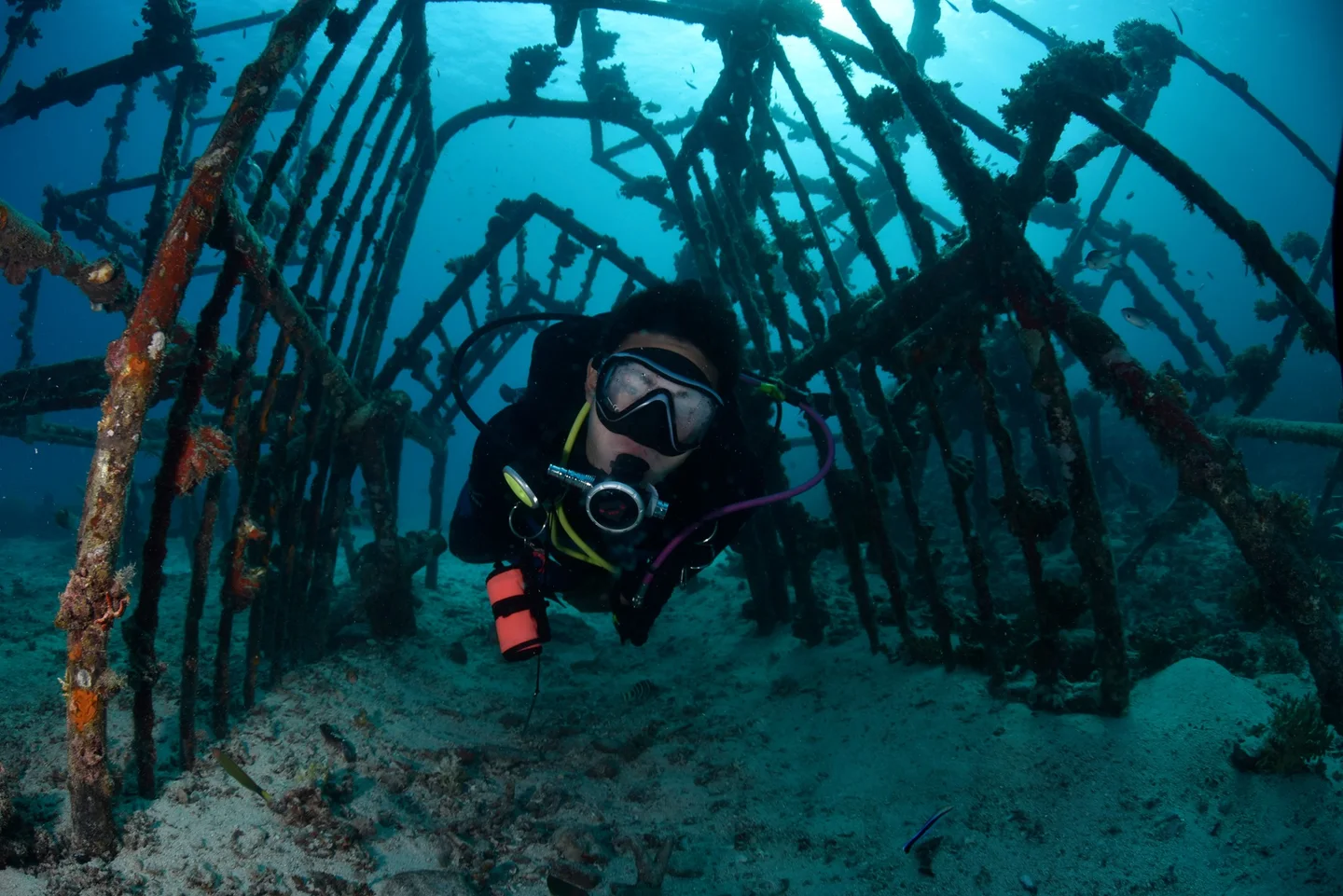 Scuba Diving Journey